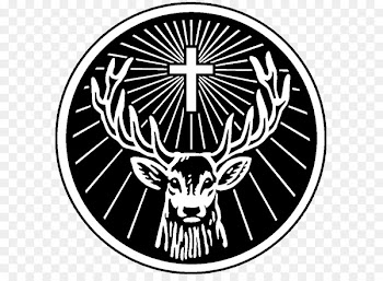 Jägermeister Jägerbomb Distilled beverage Liqueur Deer - jagermeister 