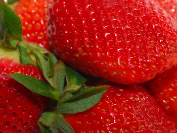 JGS_BerryCrop.jpg