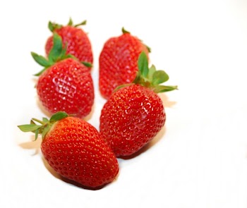 JGS_BerryLineup.jpg