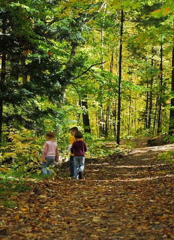 JGS_DiscoveringNature.jpg