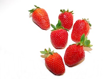 JGS_MoreBerries.jpg