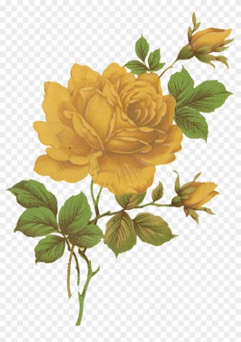 Jinifur Yellow Rose By Jinifur - Vintage Yellow Roses Png