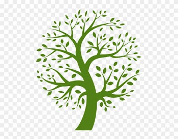 Jke Contracting &amp; Tree Service - Organic Tree Logo