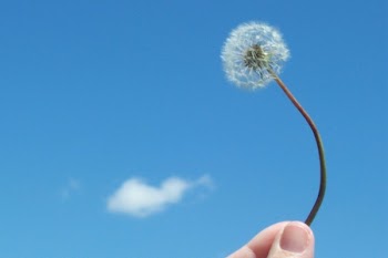 jlite_dandelion_cloud.jpg