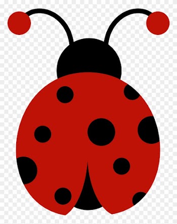 Joaninha - Minus - Joaninha Ladybug