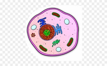 John's Journey Into A Cell" - One Horned Flying Purple People