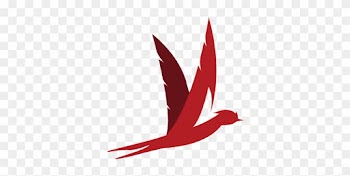 Join Our Community - Trader