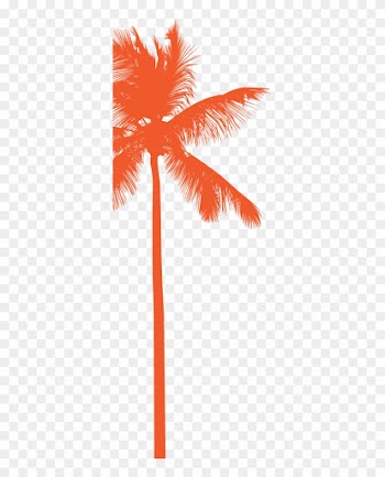 Join Our Mailing List - Black And White Palm Trees