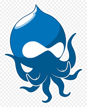 Joomla Content management system Drupal Web development WordPress - wordpress 