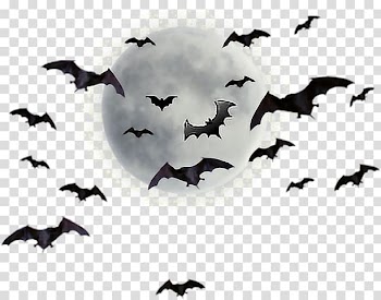 Joseph N. Goff House Museum and Cultural Center Supermoon , moon transparent background PNG clipart