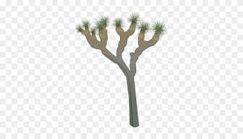 Joshua Tree Clipart - Joshua Tree