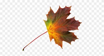 Journal, Maple Leaf, Free, Autumn, Colorful - Maple Leaf