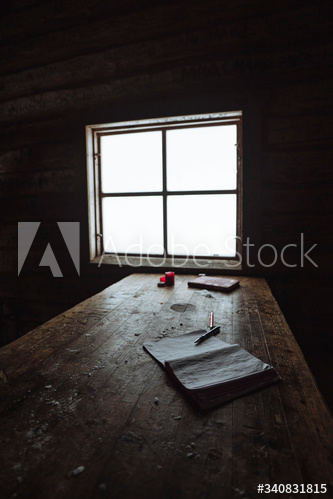 Journal on a wooden table in a forest cabin