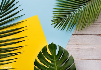 Joy activity attractive | Free stock photo - 67624