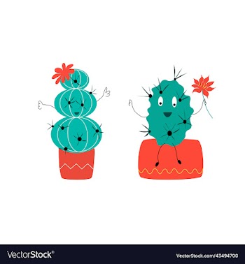 joyful green cacti in red pots
