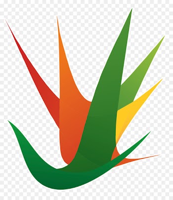 JUAN FERNANDEZ ALBARRAN Football Olympic Games Copyright Clip art - others 