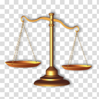 Judge Rick Morris Dispute Resolution Service