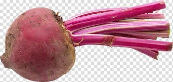 Juice Beetroot Organic food Vegetable Health, Beet transparent background PNG clipart