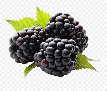 Juice, Blackberry Pie, Cobbler, Berry, Blackberry PNG