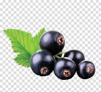Juice Blackcurrant Fruit , juice transparent background PNG clipart