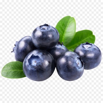 Juice Blueberry Dried fruit - Blueberry purple 