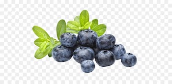 Juice Blueberry Flavor Tart - Blueberries PNG 