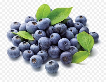 Juice Blueberry Frutti di bosco Flavor Electronic cigarette aerosol and liquid - blueberry 