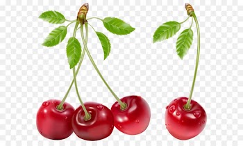 Juice Cherry Fruit Berry - Cherries PNG Picture 