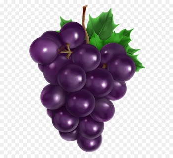 Juice Common Grape Vine Fruit - Transparent Grape PNG Clipart Picture 