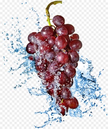 Juice Common Grape Vine Stock photography - Creative grape water 