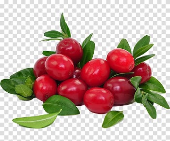 Juice Cranberry Food Dried Fruit, juice transparent background PNG clipart