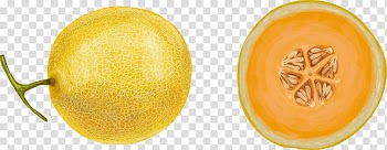 Juice Fruit Drawing Watercolor painting, hand painted melon transparent background PNG clipart