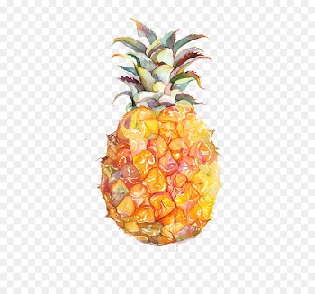 Juice Fruit Watercolor painting Pineapple - Yellow simple watercolor pineapple 
