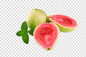 Juice Goiabada Common guava Fruit, guava transparent background PNG clipart
