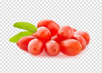 Juice Goji Berry Matrimony vine Dried Fruit, juice transparent background PNG clipart