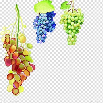 Juice Grape Watercolor painting, grape transparent background PNG clipart