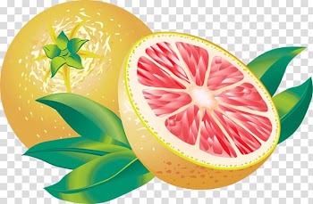 Juice Grapefruit Lemon , Of Citrus Fruits transparent background PNG clipart
