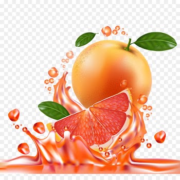 Juice Green tea Drink Grapefruit - Fresh grapefruit and juice vector material 