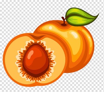 Juice Ice cream Drink Fruit, apricot transparent background PNG clipart