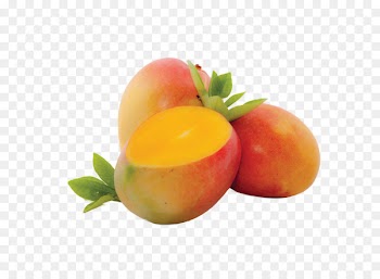 Juice International Mango Festival Mango pudding Smoothie - juice 