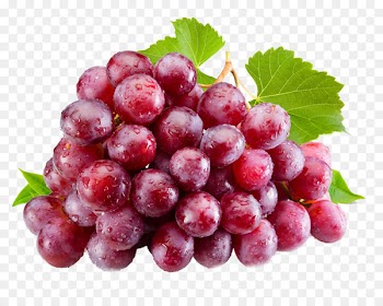 Juice Isabella Common Grape Vine Table grape - Grape pattern 