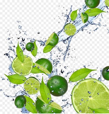 Juice Lemonade Lime Iced tea - Lemon drinks wine image ads 