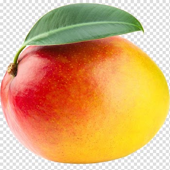 Juice Mango Tropical fruit Mangifera indica, mango slice transparent background PNG clipart