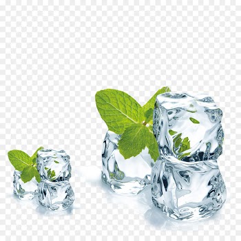 Juice Mentha spicata Ice cube Menthol - Mint ice 