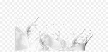 Juice Milk Food Franchising Drinking - Milk splash 