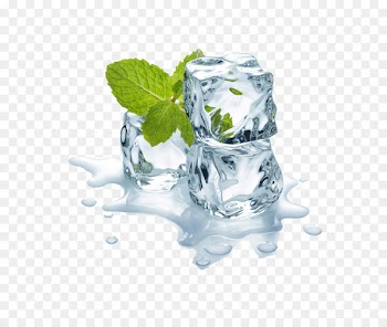Juice Mint Flavor Water - Ice cubes and mint leaves 