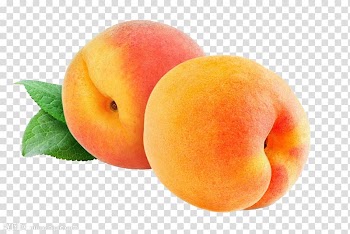 Juice Nectarine Saturn Peach Fruit Drupe, peach transparent background PNG clipart