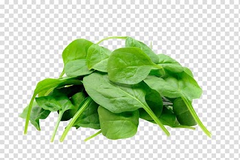 Juice Organic food Spinach Leaf vegetable, parsley transparent background PNG clipart
