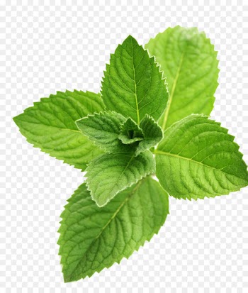 Juice Peppermint Flavor Menthol - menthol 