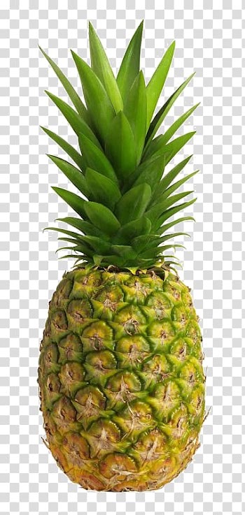 Juice Pineapple cutter Fruit Salsa, Pineapple coconut transparent background PNG clipart